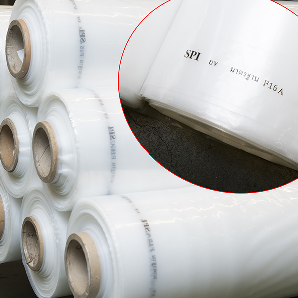 พลาสติกคลุมโรงเรือน แบบใส ม้วน Green Houseใส ชนิด LLDPE/UV