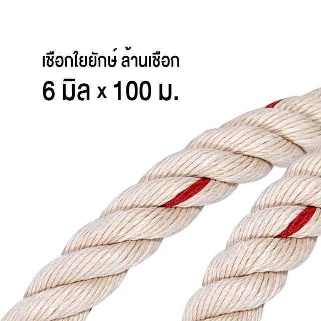 เชือกใยยักษ์