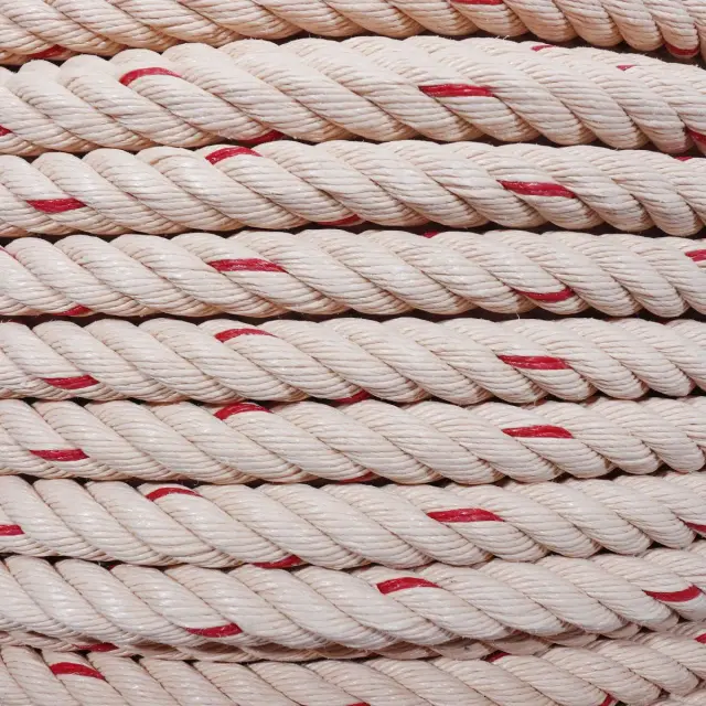 เชือกใยยักษ์